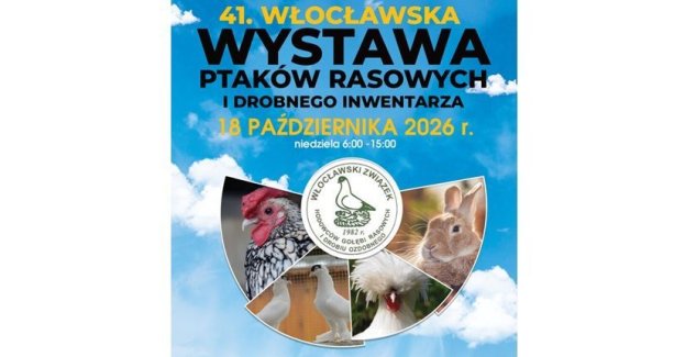 41. Włocławska wystawa ptaków rasowych i drobnego inwentarza odbędzie się 18 października 2026 r. w Lipnie. Wstęp na wydarzenie będzie bezpłatny dla kobiet i dzieci.
